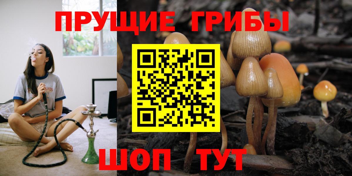 Галлюциногенные грибы прущие грибы Кстово