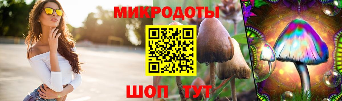 Кстово  Галлюциногенные грибы GOLDEN TEACHER  Вход с VPN 